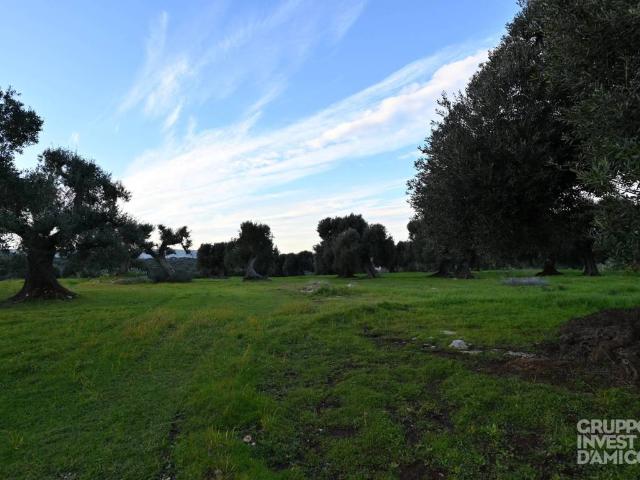 Terreno in vendita a Puglia, Brindisi