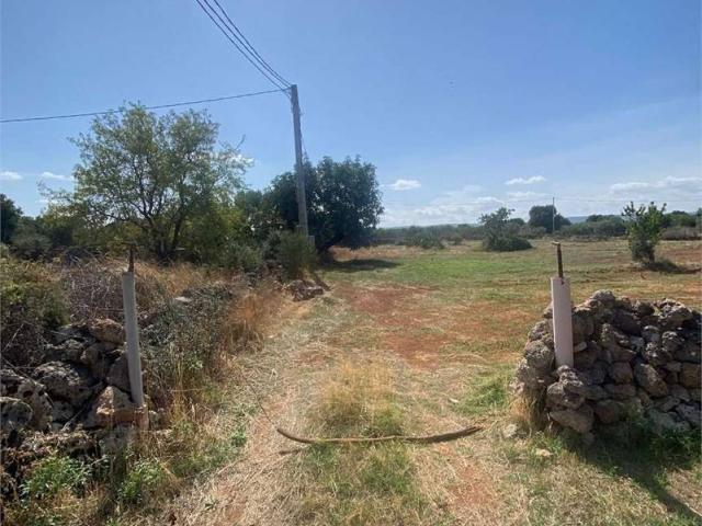 Terreno in vendita a Puglia, Brindisi