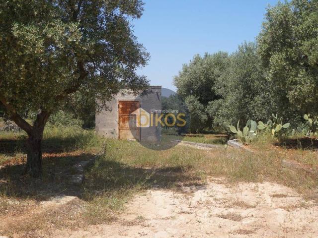 Terreno in vendita a Savelletri, Puglia