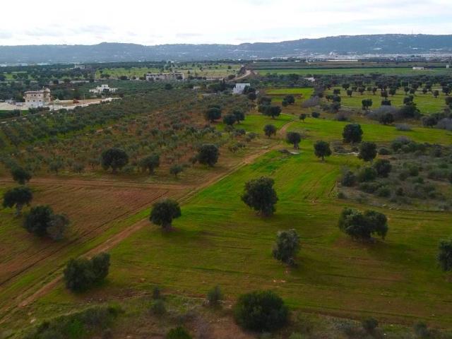 Terreno in vendita a Puglia, Brindisi