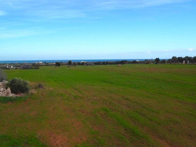 Terreno in vendita a Puglia, Brindisi