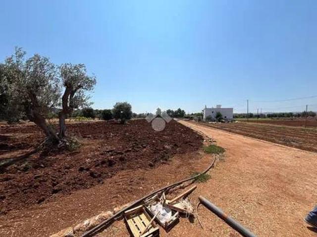 Terreno in vendita a Puglia, Brindisi