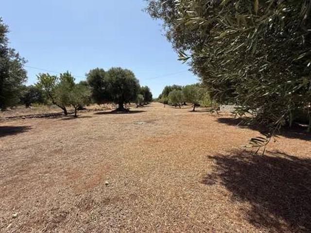 Terreno in vendita a Puglia, Brindisi