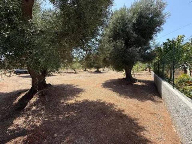 Terreno in vendita a Puglia, Brindisi