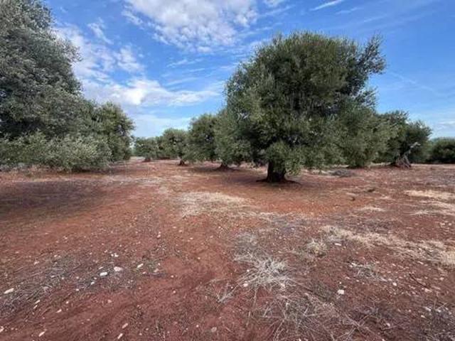 Terreno in vendita a Canale di Pirro, Puglia