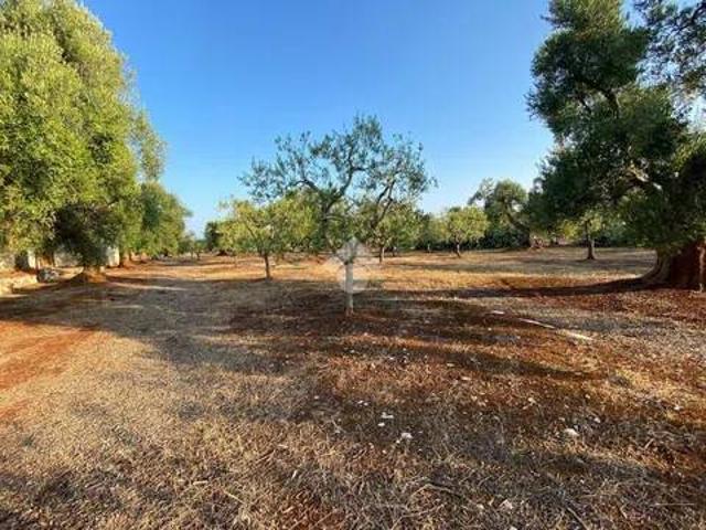 Terreno in vendita a Puglia, Brindisi