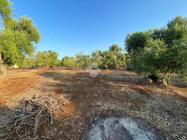 Terreno in vendita a Puglia, Brindisi