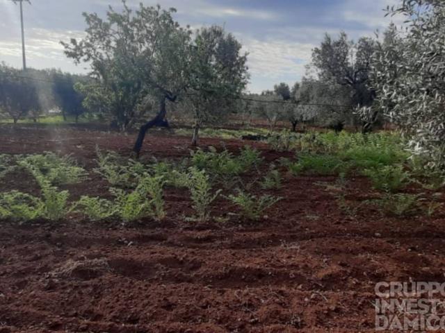 Terreno in vendita a Torre Canne, Fasano
