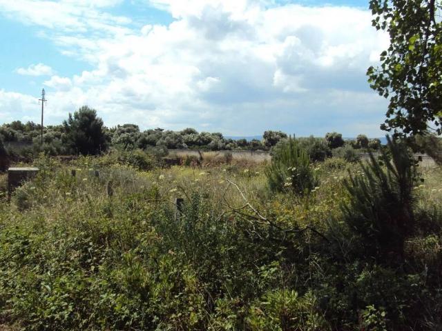 Terreno in vendita a Savelletri, Puglia