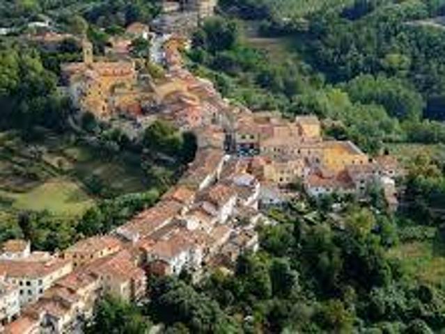 Terreno in vendita a Fauglia, Toscana