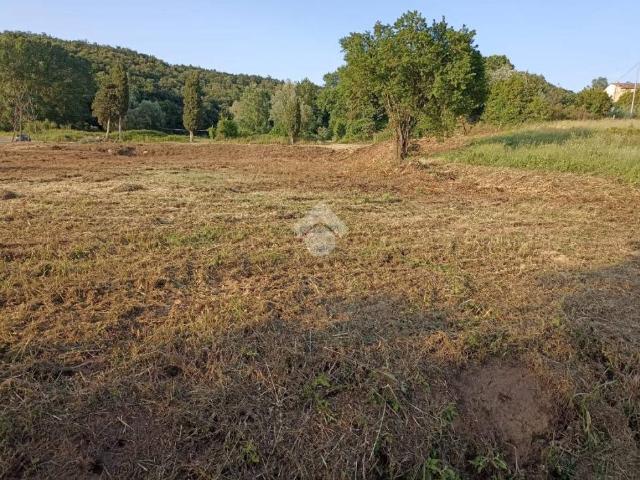 Terreno in vendita a Fauglia, Toscana