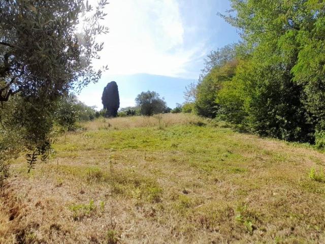 Terreno in vendita a Fauglia, Toscana