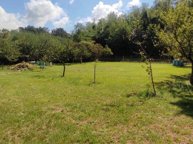 Terreno in vendita a Fauglia, Toscana