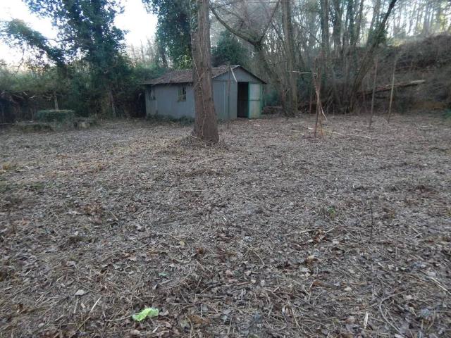Terreno in vendita a Fauglia, Toscana