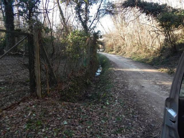 Terreno in vendita a Fauglia, Toscana