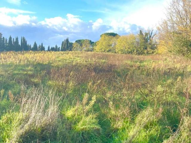 Terreno in vendita a Fauglia, Toscana