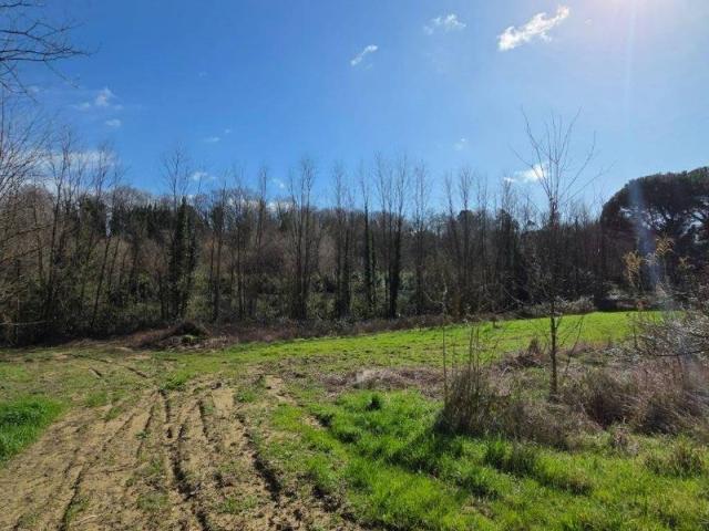 Terreno in vendita a Fauglia, Toscana