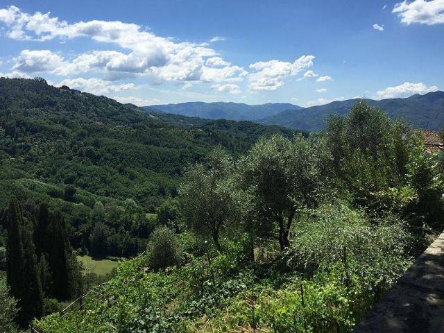 Terreno in vendita a Fauglia, Toscana