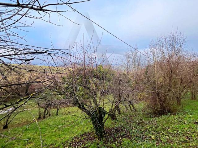 Terreno in vendita a Felino, Reggio Emilia