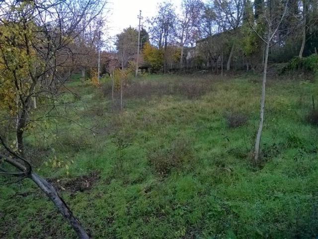 Terreno in vendita a Marche, Pesaro E Urbino