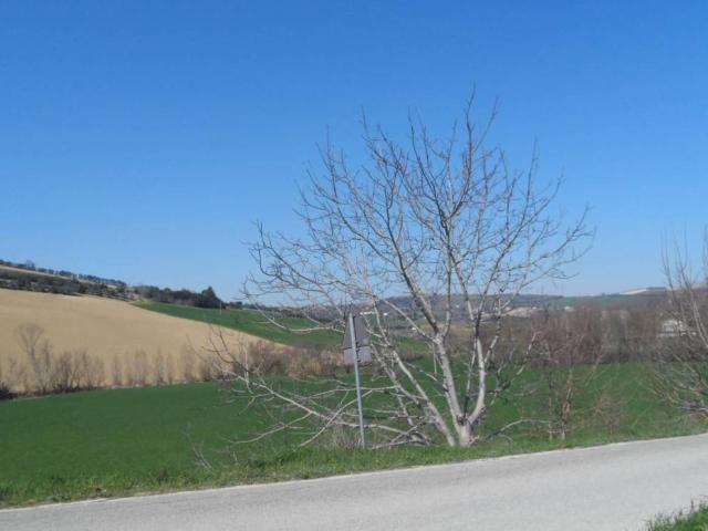 Terreno in vendita a Marche, Fermo