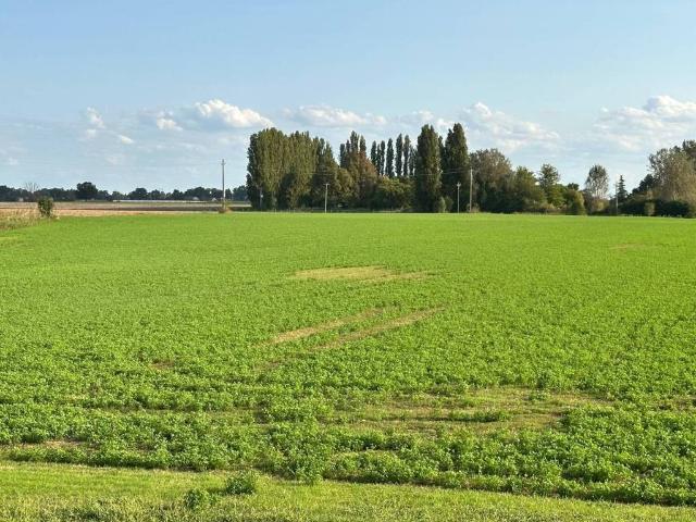 Terreno in vendita a Ferrara, Reggio Emilia