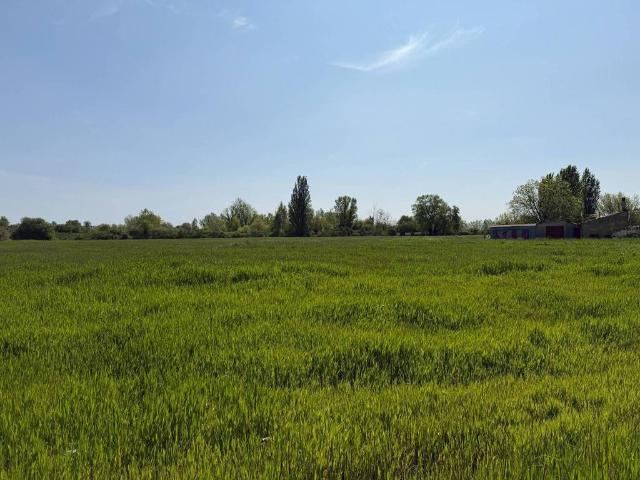 Terreno in vendita a Ferrara, Reggio Emilia