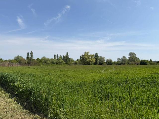 Terreno in vendita a Ferrara, Reggio Emilia