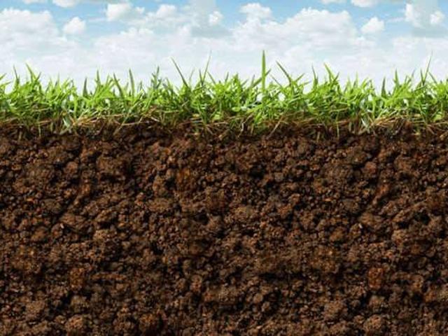 Terreno in vendita a Giardino, Ferrara