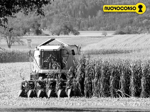 Terreno in vendita a Ferrara, Reggio Emilia
