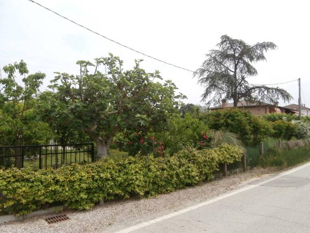 Terreno in vendita a La Motta, Ferrara