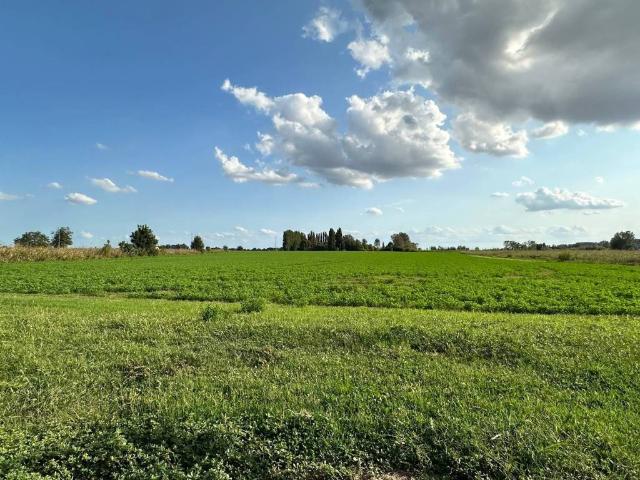 Terreno in vendita a Ferrara, Reggio Emilia