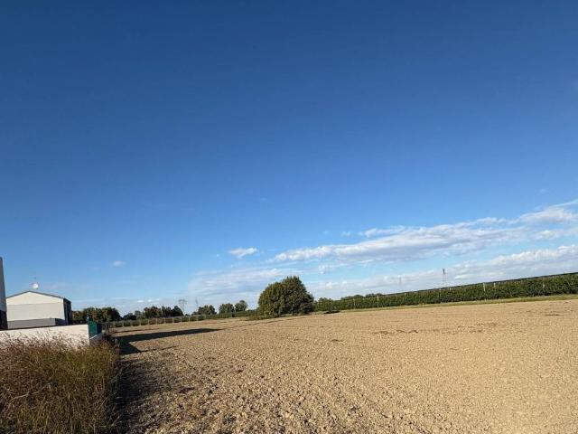 Terreno in vendita a Malborghetto di Boara, Ferrara