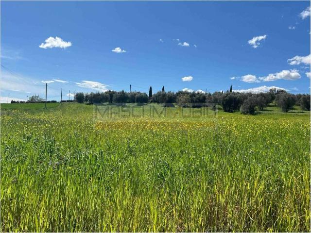 Terreno in vendita a Roma Capitale, Lazio