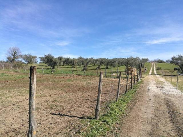 Terreno in vendita a Roma Capitale, Lazio