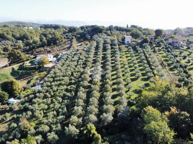 Terreno in vendita a Roma Capitale, Lazio