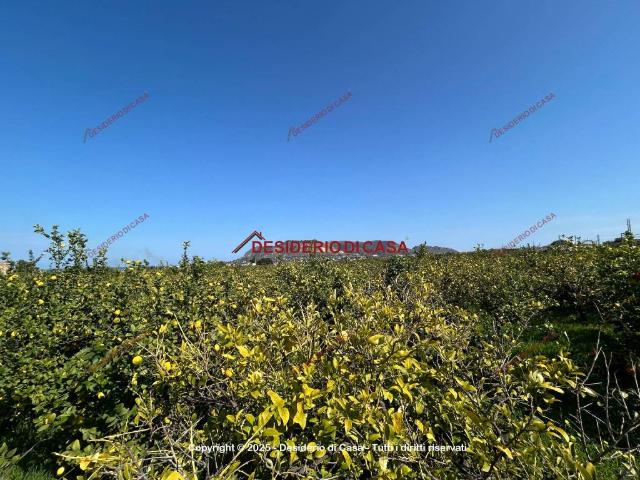 Terreno in vendita a Ficarazzi, Sicilia