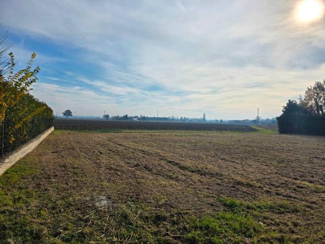 Terreno in vendita a Ficarolo, Veneto