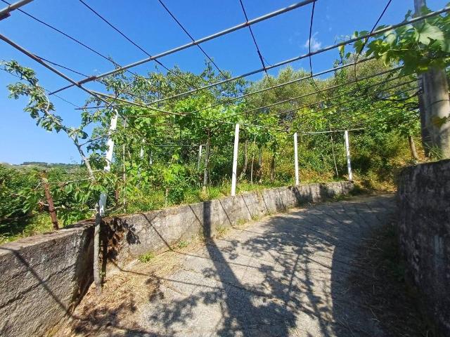 Terreno in vendita a Ficarra, Sicilia