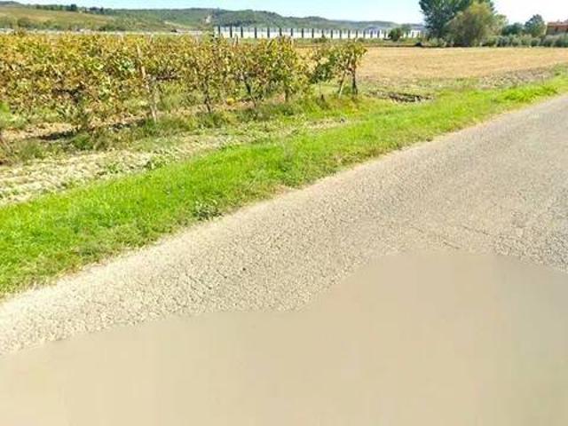 Terreno in vendita a San Lazzaro, Ficulle