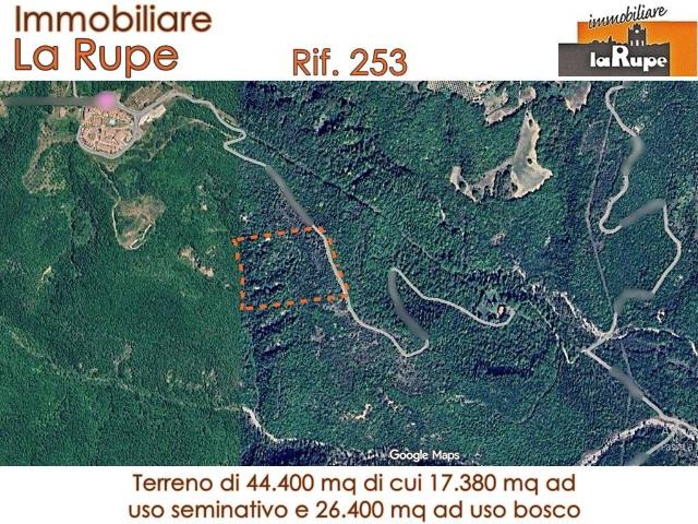 Terreno in vendita a Poggi, Ficulle