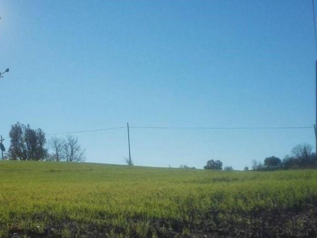Terreno in vendita a Fidenza, Reggio Emilia