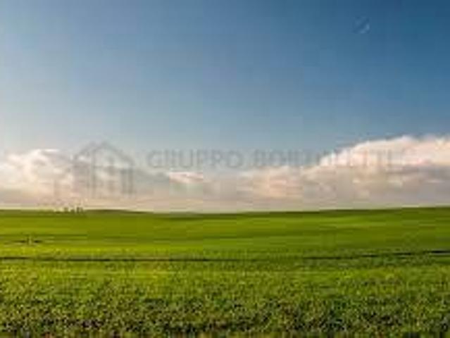 Terreno in vendita a Fiesso D'artico, Veneto