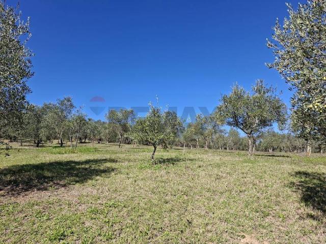 Terreno in vendita a Figline e Incisa Valdarno, Incisa Val D'arno