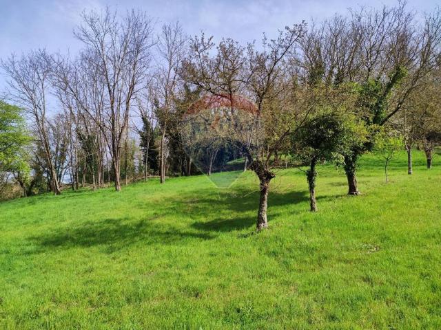 Terreno in vendita a Figline e Incisa Valdarno, Figline Valdarno