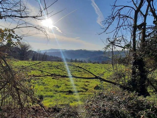 Terreno in vendita a Figline e Incisa Valdarno, Figline Valdarno