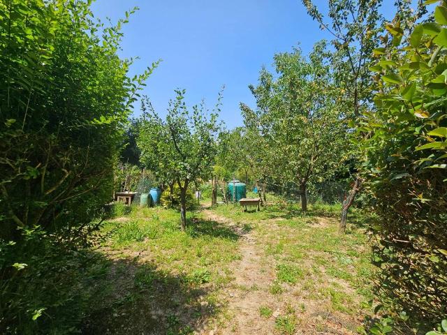 Terreno in vendita a Figline e Incisa Valdarno, Figline Valdarno