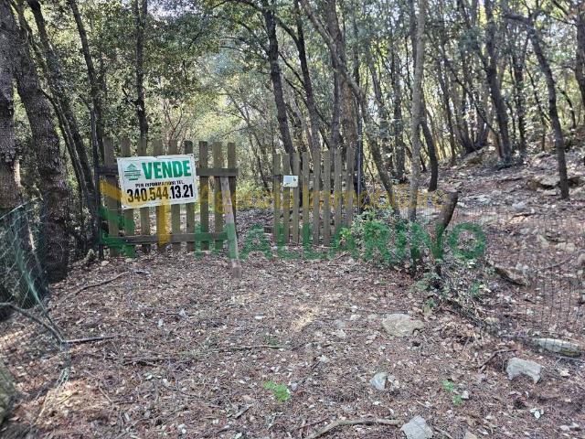Terreno in vendita a Calvisio, Finale Ligure