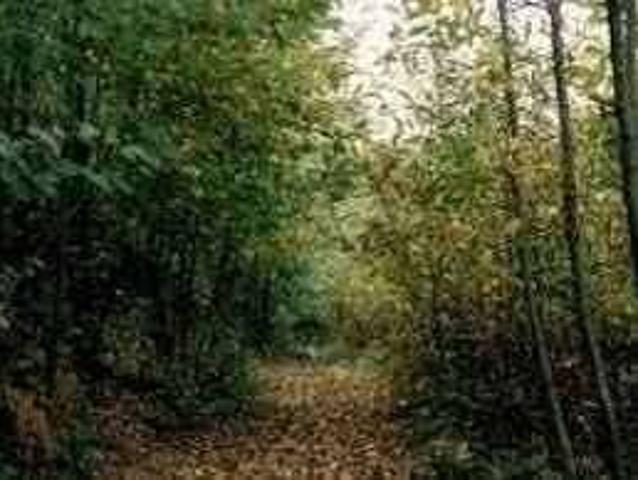 Terreno in vendita a Fino Mornasco, Lombardia