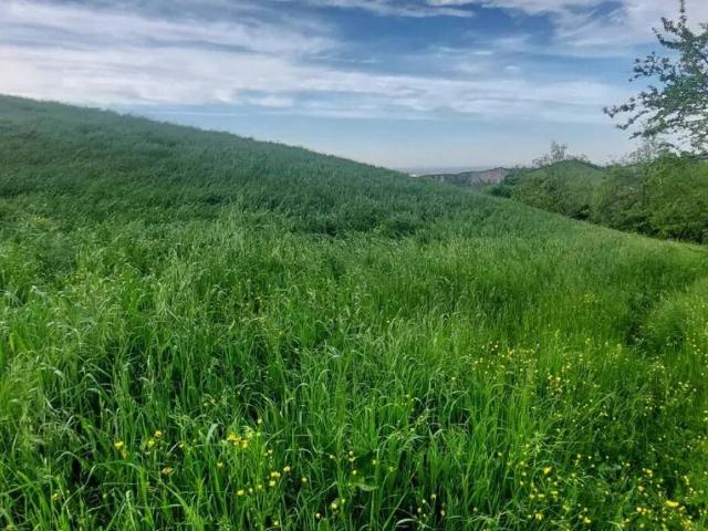 Terreno in vendita a Unione dei comuni del Distretto Ceramico, Fiorano Modenese